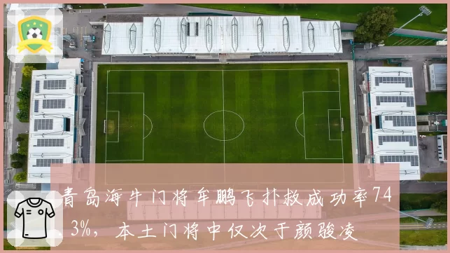 青岛海牛门将牟鹏飞扑救成功率74.3%，本土门将中仅次于颜骏凌