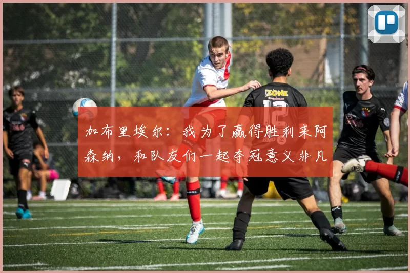 加布里埃尔：我为了赢得胜利来阿森纳，和队友们一起夺冠意义非凡